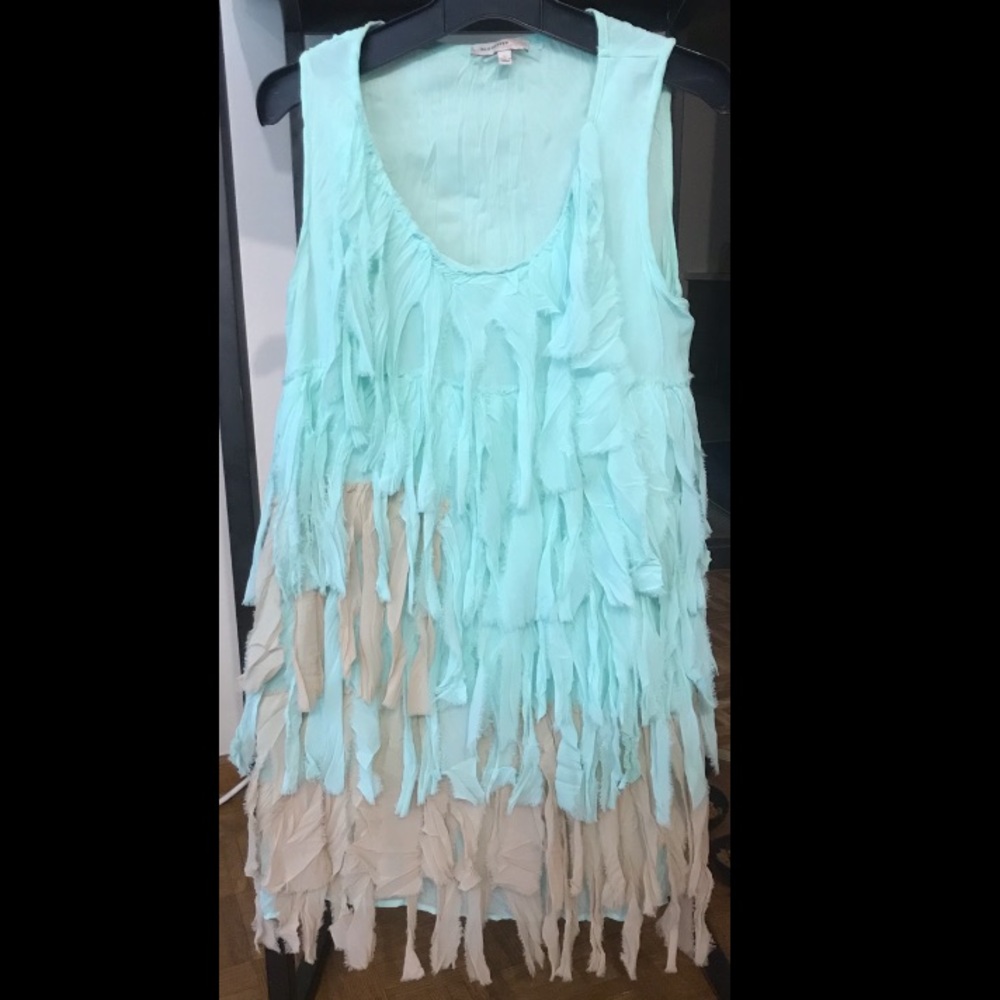 Fun fringe dress
